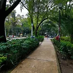 Aikia City Cdmx