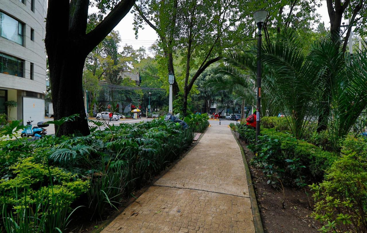 Aikia Cdmx Apartamento