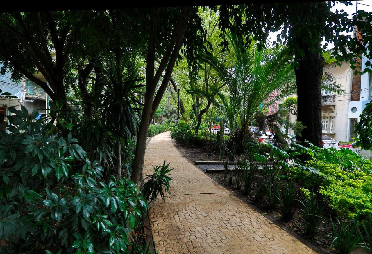 Aikia Cdmx Apartamento